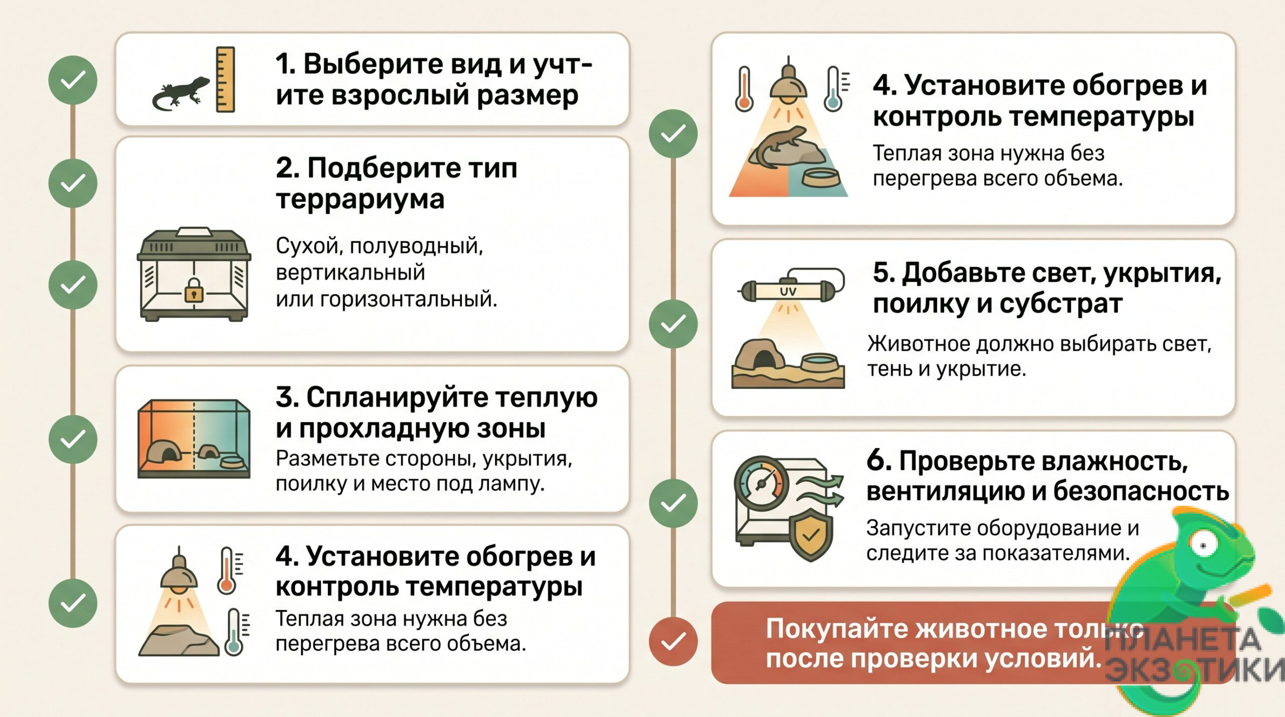 Миф о неприхотливой рептилии и покупка без подготовки Современная аккуратная иллюстрация без надписей: человек дома держит переноску с небольшой рептилией и растерянно смотрит на пустой стеклянный террариум рядом. Вокруг лежат