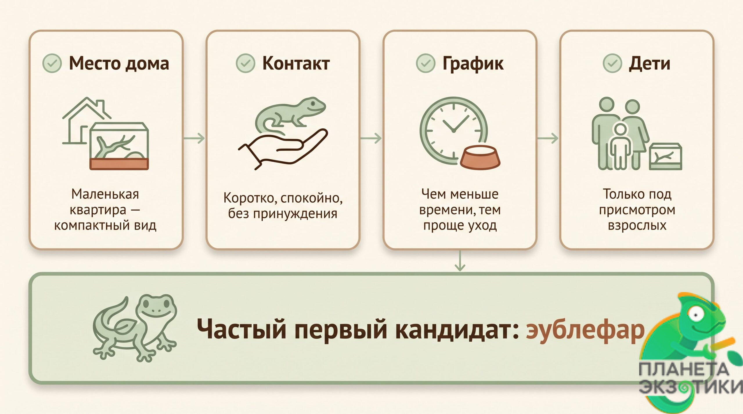 Спокойная домашняя сцена: леопардовый эублефар сидит на раскрытой ладони человека рядом с открытым террариумом. Рука расположена низко и устойчиво, без сжатия; ящерица выглядит