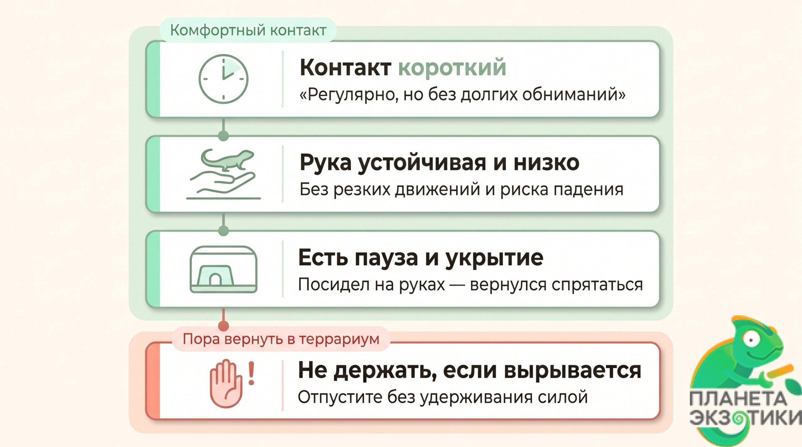 Аккуратная инфографика-чек-лист из четырех вертикальных карточек с простыми пиктограммами: квартира и террариум, ладонь с ящерицей, часы, семья с ребенком. Внизу отдельная