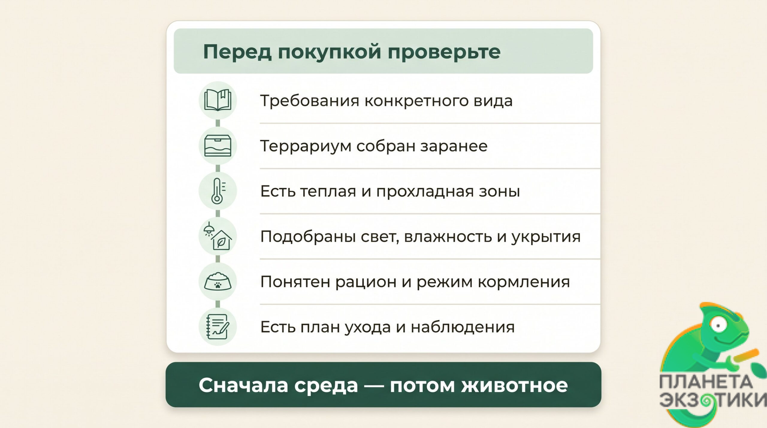 Покупка на эмоциях и неподготовленный террариум Вертикальный чек-лист подготовки террариума до покупки рептилии: чистая инфографика с простыми иконками террариума, термометра, лампы, укрытия, миски и уборочного инвентаря