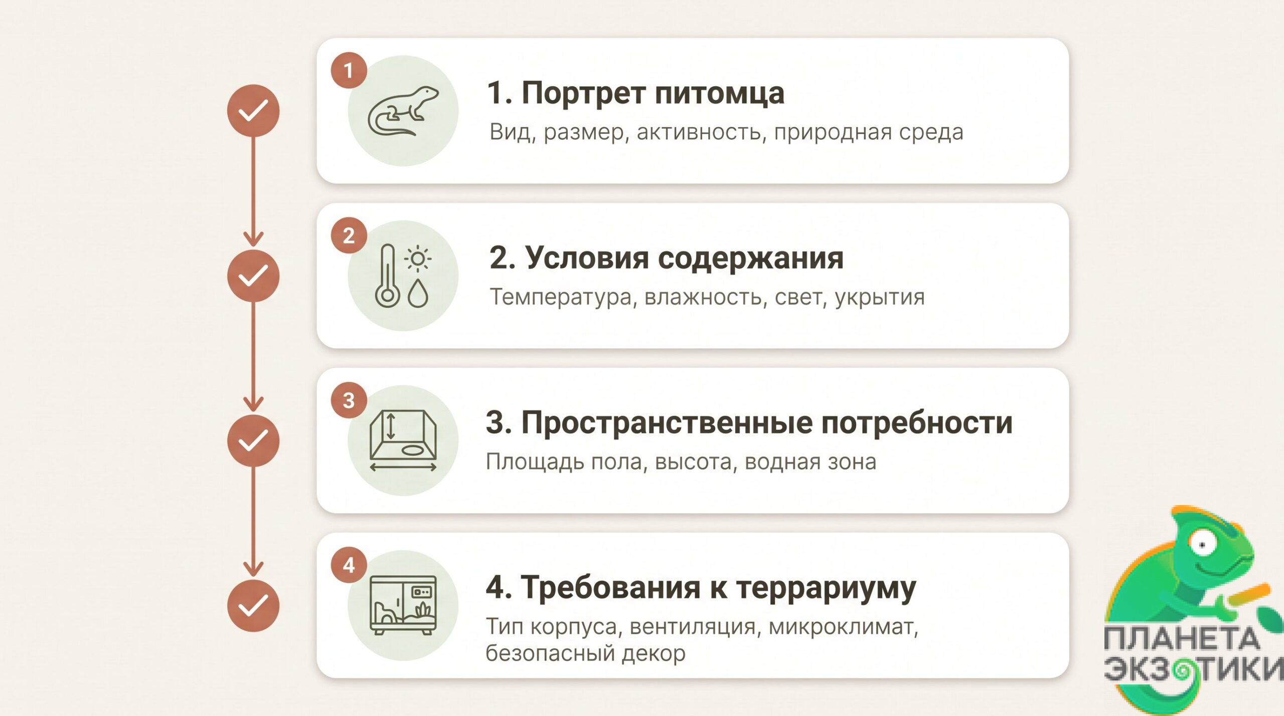 Этап 1. Требования питомца и тип террариума Минималистичная чек-лист-схема из четырех вертикальных карточек с иконками: животное, термометр с каплей, план террариума, безопасный декор. Карточки соединены тонкими стрелками