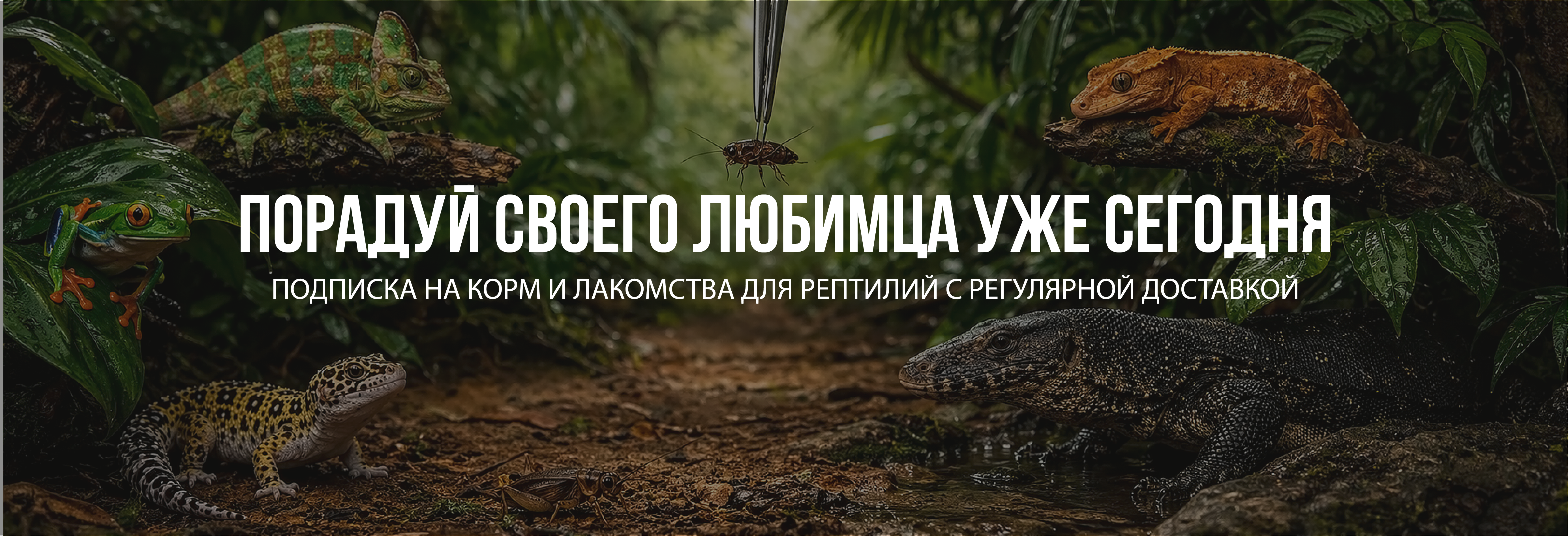Баннер доставка кормов для рептилий