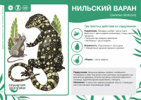 Варан нильский